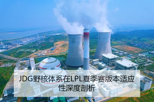JDG野核体系在LPL夏季赛版本适应性深度剖析
