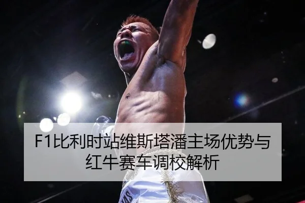 bi-li-shi-zhan-wei-si-ta-pan-zhu-chang-you-shi-yu-hong-niu-sai-che-diao-xiao-jie-xi-2-292.jpg