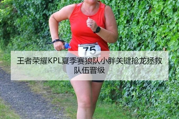王者荣耀KPL夏季赛狼队小胖关键抢龙拯救队伍晋级