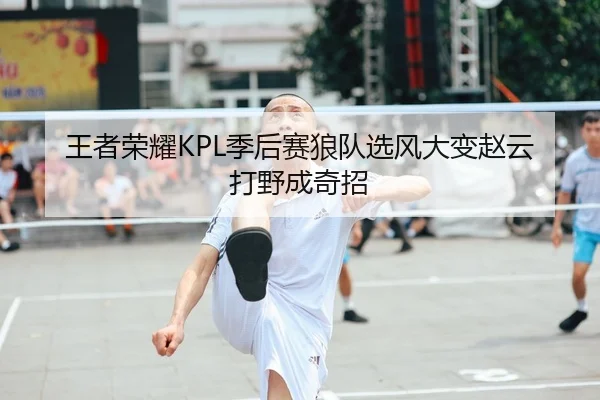 王者荣耀KPL季后赛狼队选风大变赵云打野成奇招